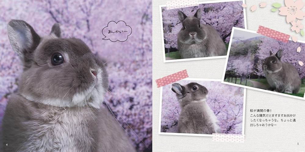 もふうさ 旅するうさぎ | 江本 秀幸 |本 | 通販 | Amazon