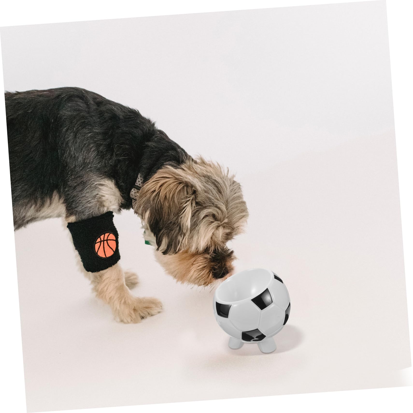 Gamelle pour Chien et Chat en Céramique, Bol Sport Basket