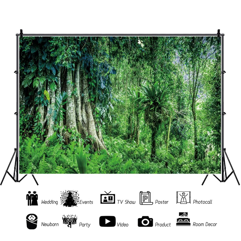 Papier peint jungle verte | Épaisse forêt tropicale avec feuillage lux