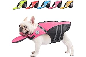 French Bulldogs Don't Sink with High-Performance Bulldog Float