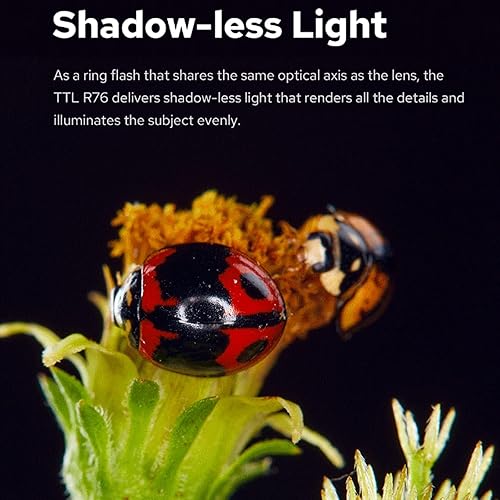 Miniatura 5 de Godox MF-R76C TTL Macro Ring Flash 76Ws HSS 2.4G inalámbrico GN14 CCT 5900K 550 Flash de potencia completa, 0.1-1s Tiempo de reciclaje Tubos de