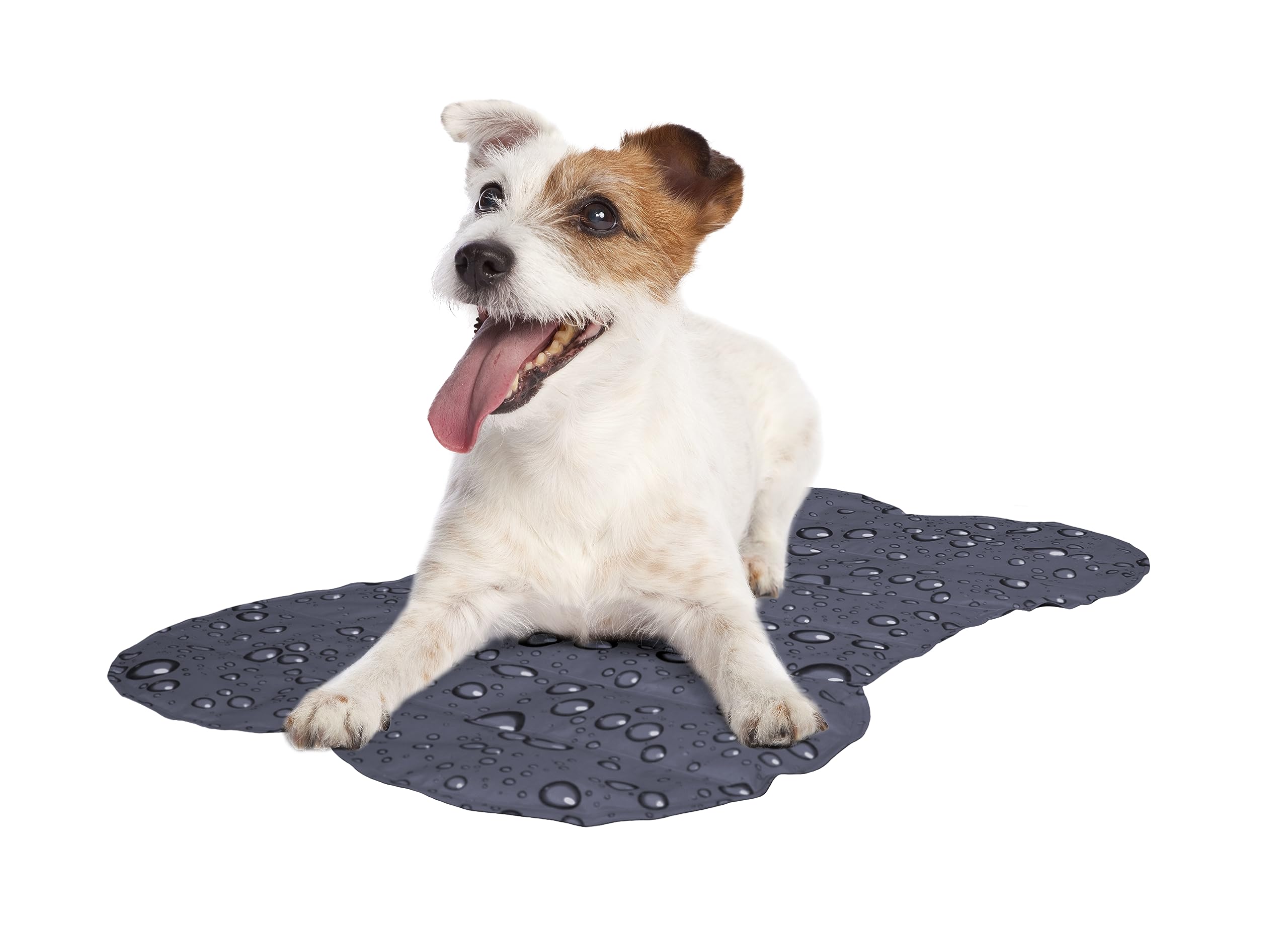 Couverture rafraîchissante pour chien contre la canicule tapis Flamingo 60,5x86cm