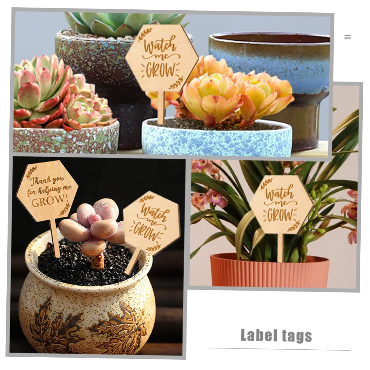 HEMOTON 4 Ensembles Étiquette En Bois Étiquettes De Plantes De Jardin Marqueurs De Plantes De Jardin Ornements D'étiquette De Pelouse Accessoire De Plante 40 Pièces * 4