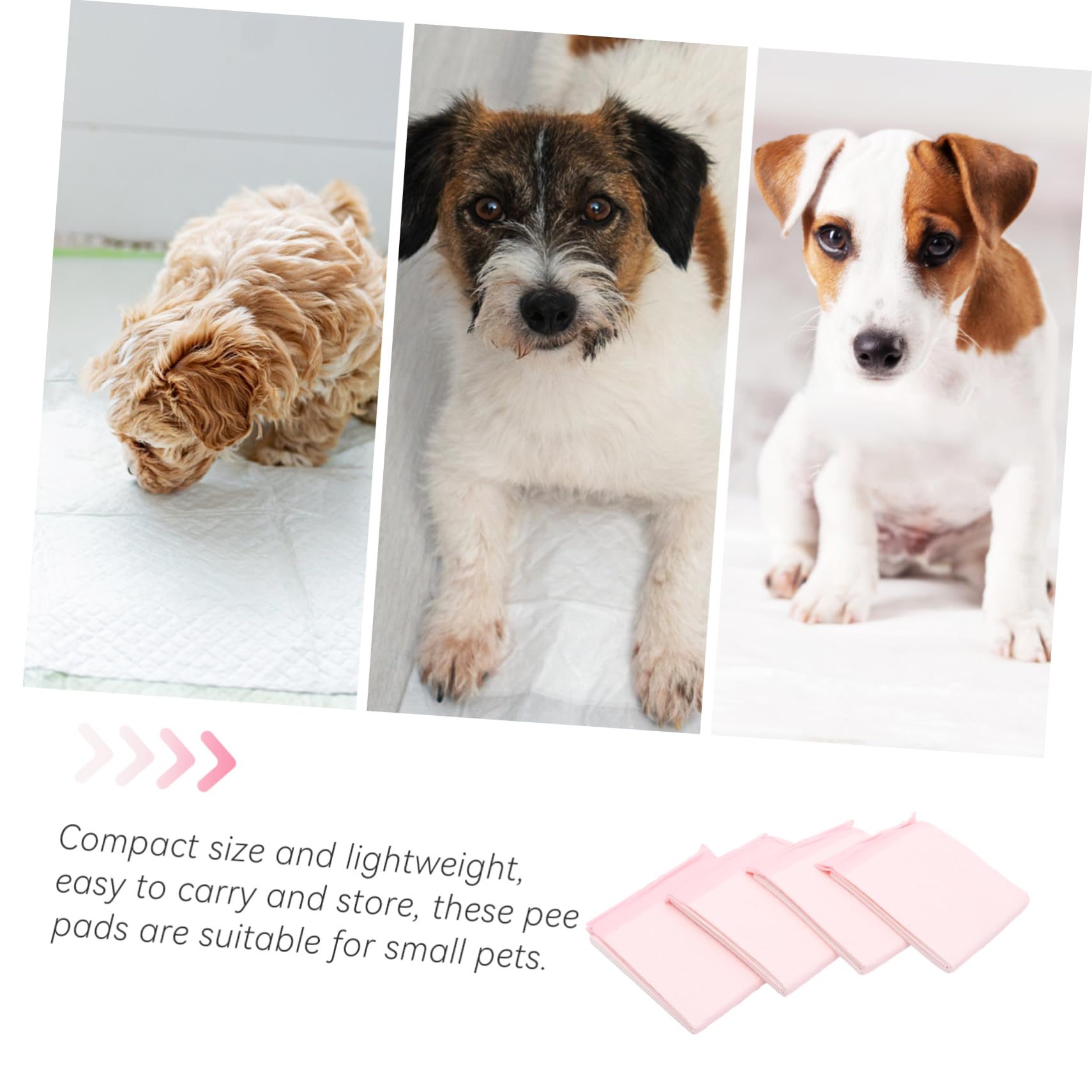 Yardwe 100pezzi Tappetini Per Animali Domestici Tappetini Assorbenti Per Per Addestramento Per Pulizia Igienica in Casa