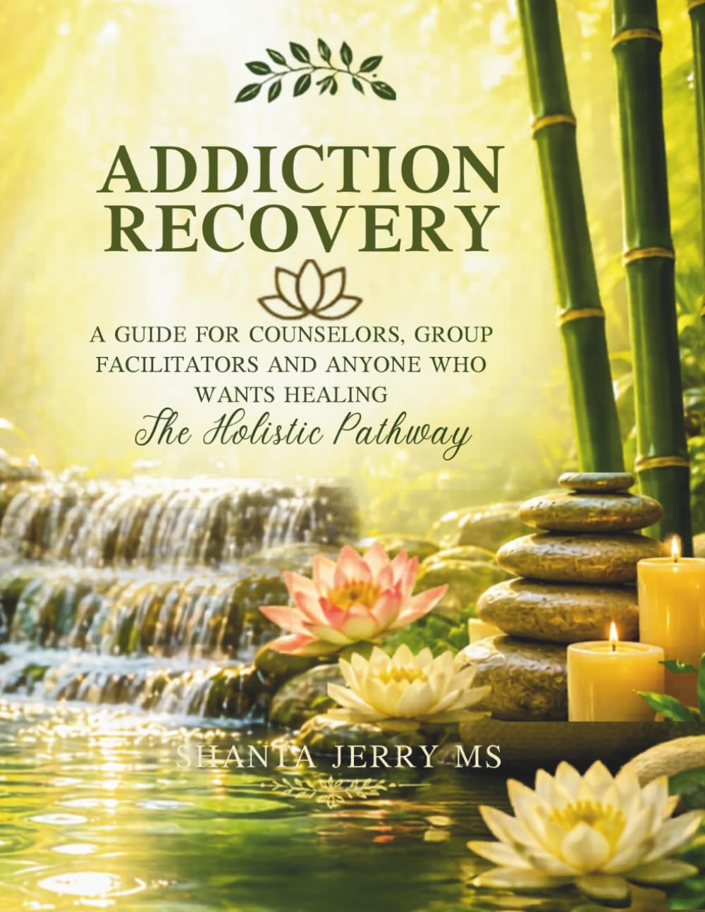 Addiction Recovery. A Guide For Counselors, Group Facilitators and Anyone Who Wants Healing: The Holistic Pathway to Sobriety and Recovery