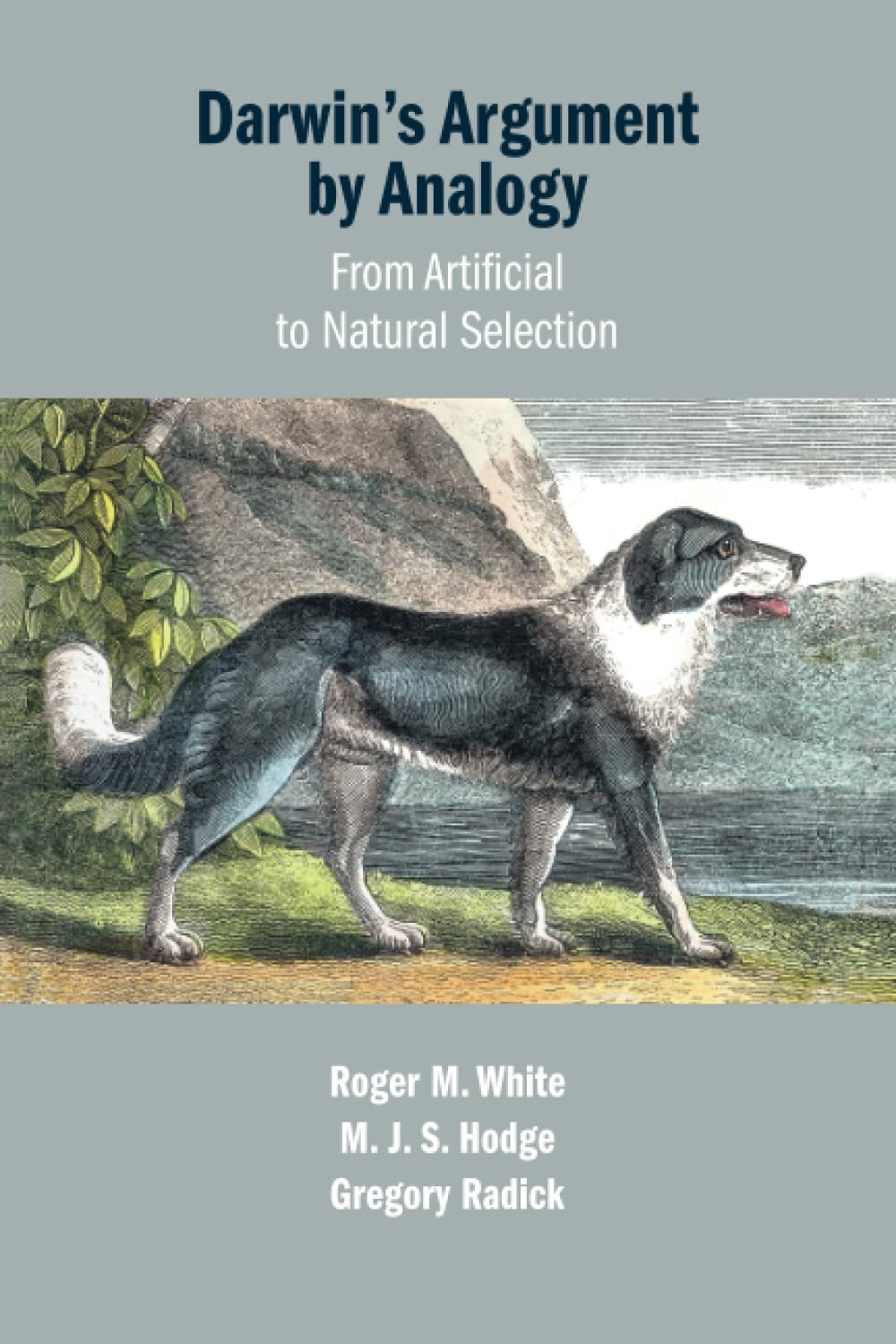 Darwin's Argument by Analogy: From Artificial to Natural Selection