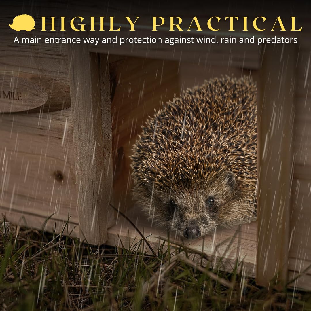 Casa Per Ricci Da Giardino - Rifugio Legno Per Ibernazione Anti Predatori - Foto 10