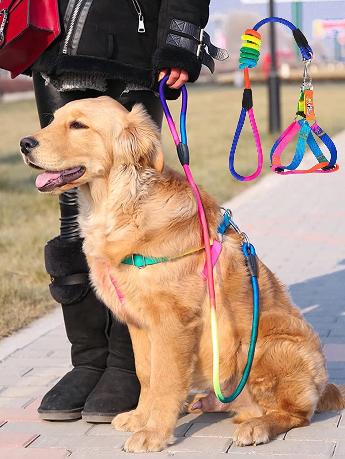 RvPaws Soft Padded Nylon Dog Harness & Leash Rope Set Adjustable Harness and Comfortable Padded Handle Leash and Harness Set for Medium and Large Dogs - Color As Per Available (B0BNQ2CHLT) Amazon Price History, Amazon Price Tracker
