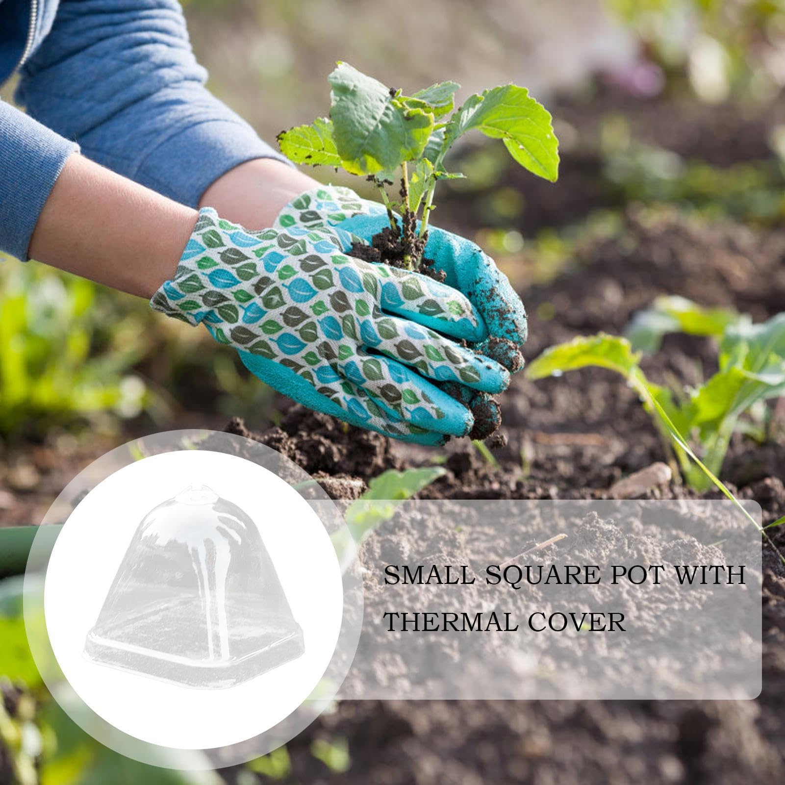 Funda Mini para Macetas - Cubierta Protectora Transparente para Plantas | Tapa Hidratante 10X Humedad Impermeable para Invernadero Cultivo De Suculentas Protección Lluvia Vivero Plantación