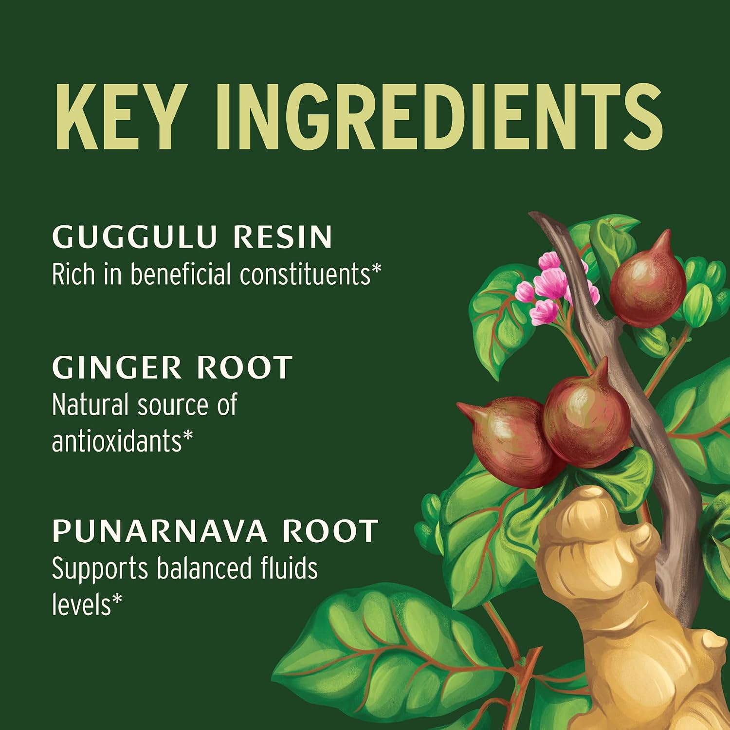 Banyan Botanicals Organic Punarnavadi Guggulu – Systemic Fluid Balance & Kidney Support Supplement – with Guggulu Resin & Punarnava for Joint Comfort & Urinary Health – 90... - Image 2