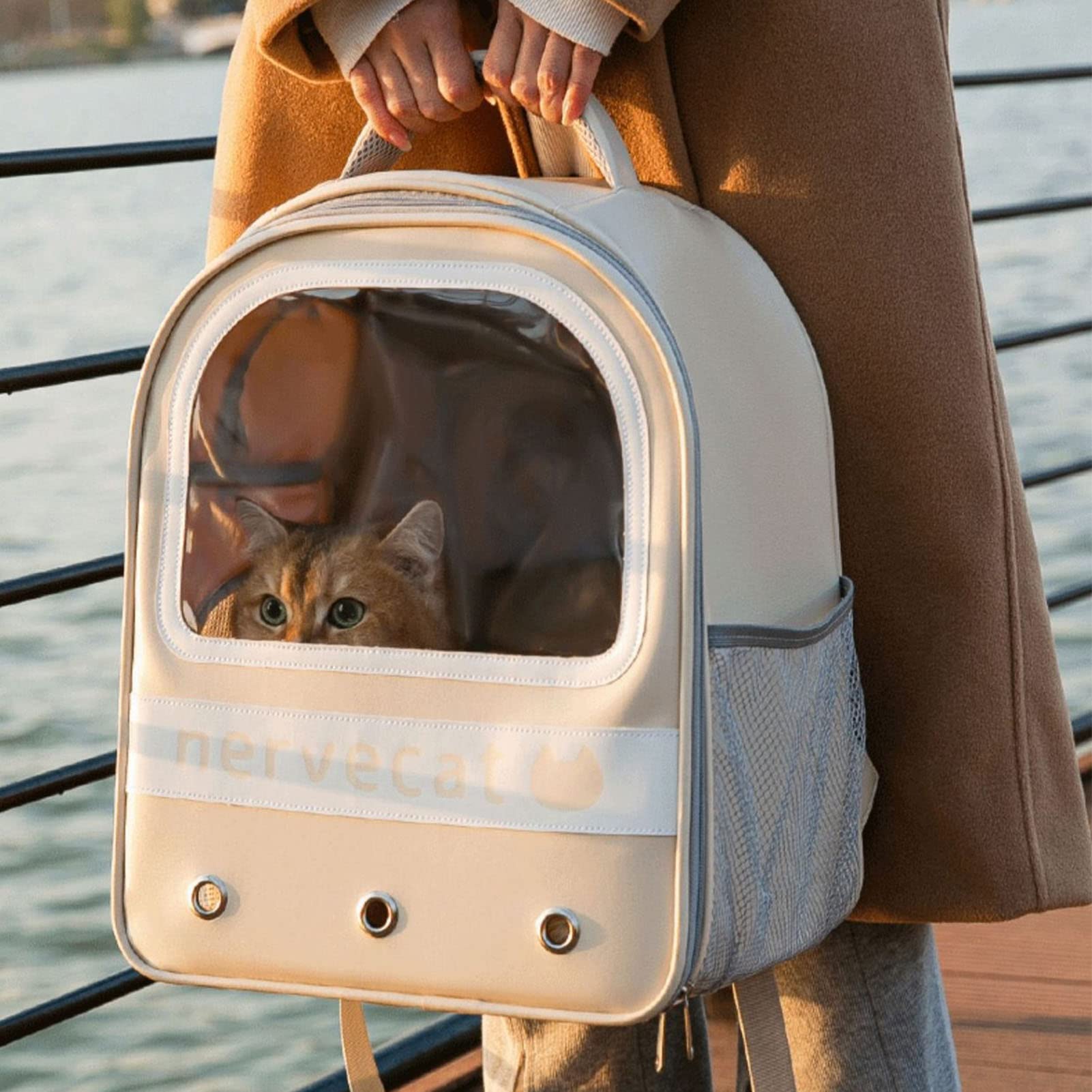 Katzentrage-Rucksack, Luftpolster-Rucksack-Träger mit transparenter, Rucksack-Tragetasche, Katzen-Rucksack, Mehrzweck-Rucksack mit großer Kapazität, transparent, belüftet,