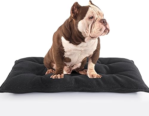 HOMBYS Cama para perros a prueba de mordidas, 41 x 28 pulgadas, alfombrilla indestructible para masticadores agresivos, duradera y resistente al
