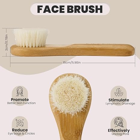 Dry Brushing Körperbürste zur Verjüngung der Haut - Rückenschrubber für Dusche - Stimulieren die Lymphdrainage und minimieren Cellulite - 100% natürliche Wildschweinborsten mit abnehmbarem Griff