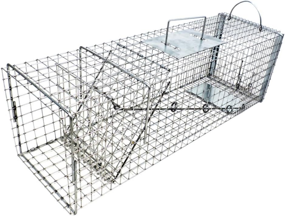 Tomahawk Live Trap Flush Mount Cat Trap with Easy Release Back Door Patio, Lawn