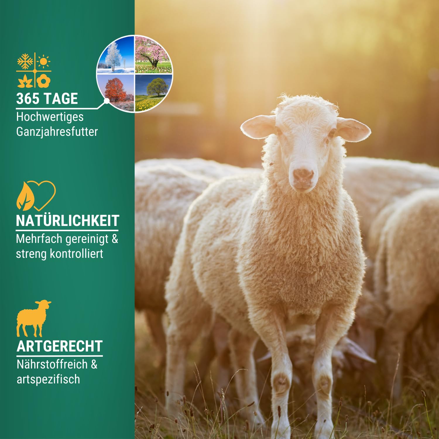 Agrarzone Schaffutter Ziegenfutter Pellets 20 kg Schafe Ziegen Lämmer | Kraftfutter, Lämmer, AMA-Gütesiegel, Gentechnikfrei, staubarm