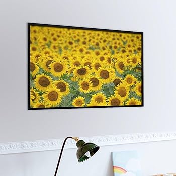 Amazon.co.jp: ジグソーパズル ひまわり 風景 パズル 1000ピース