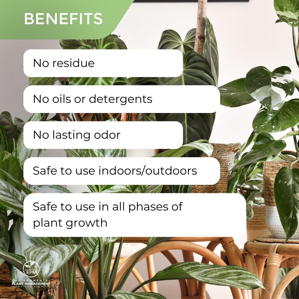 Environmental Plant Management ECO Green Concentrate | Spray & Walk Away Leaf Wash for Live & Artificial Plants | No Wipe Plant Cleaner | Oil-Free, Indoor & Outdoor Use