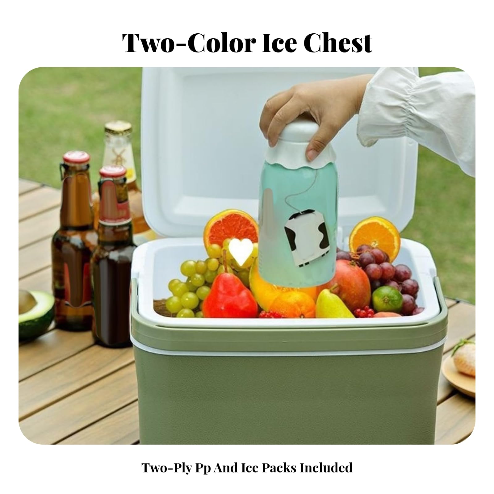 Qianly Nevera Portátil Plástico PP Resistente Recipiente Térmico Ligera Enfriadora para Familias Que Hacen Picnic, 6L