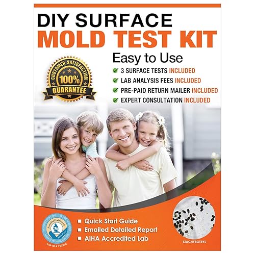 7 Best Mold Detection Kit To Consider Today [Buyer's Guide]