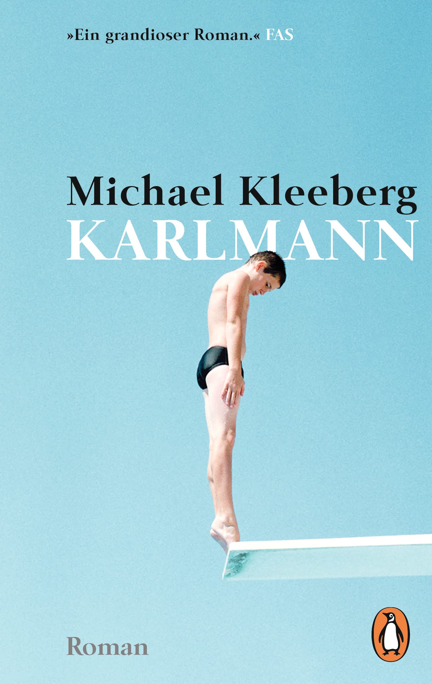Karlmann: Roman (Karlmann-Trilogie, Band 1)