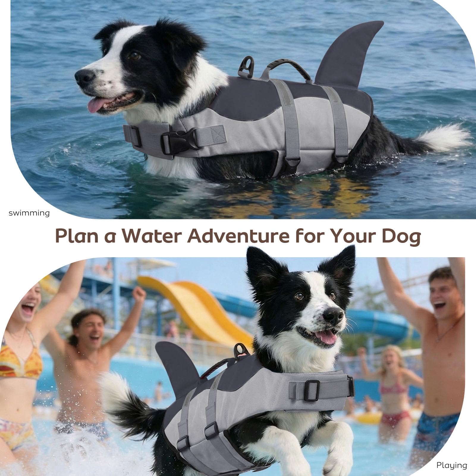 CITÉTOILE Schwimmweste Hund Hai, Hundeschwimmweste & Dog Life Jacket Verstellbar mit Griff und Reflektoren, Rettungsweste für Kleine Mittel Große Hunde & Welpen zum Schwimmen, Bootfahren, Surfen