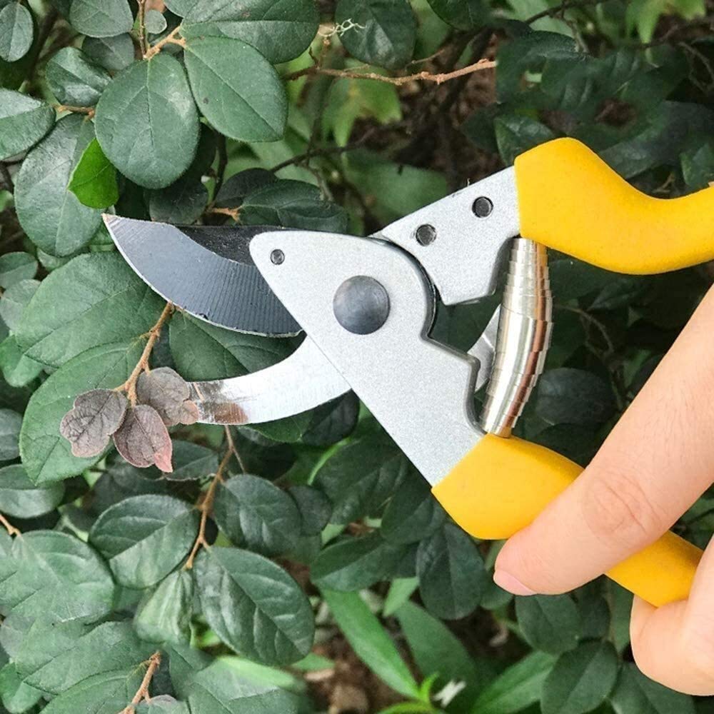 Sekator ogrodniczy 220mm ostrze stalowe sekator do przycinania żywopłotów sekator ogrodniczy