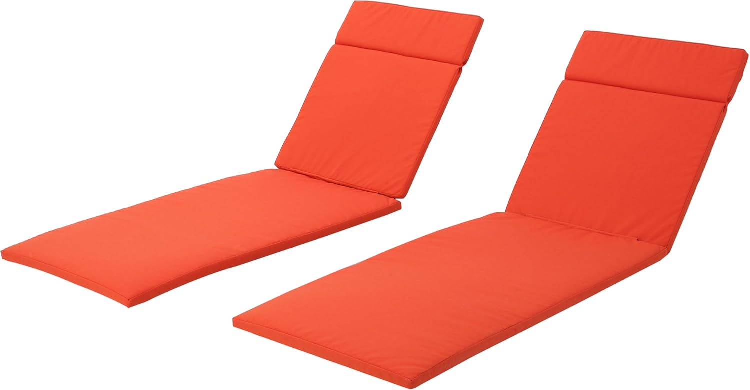 Christopher Knight Home Salem Chaise Lounge Cushions