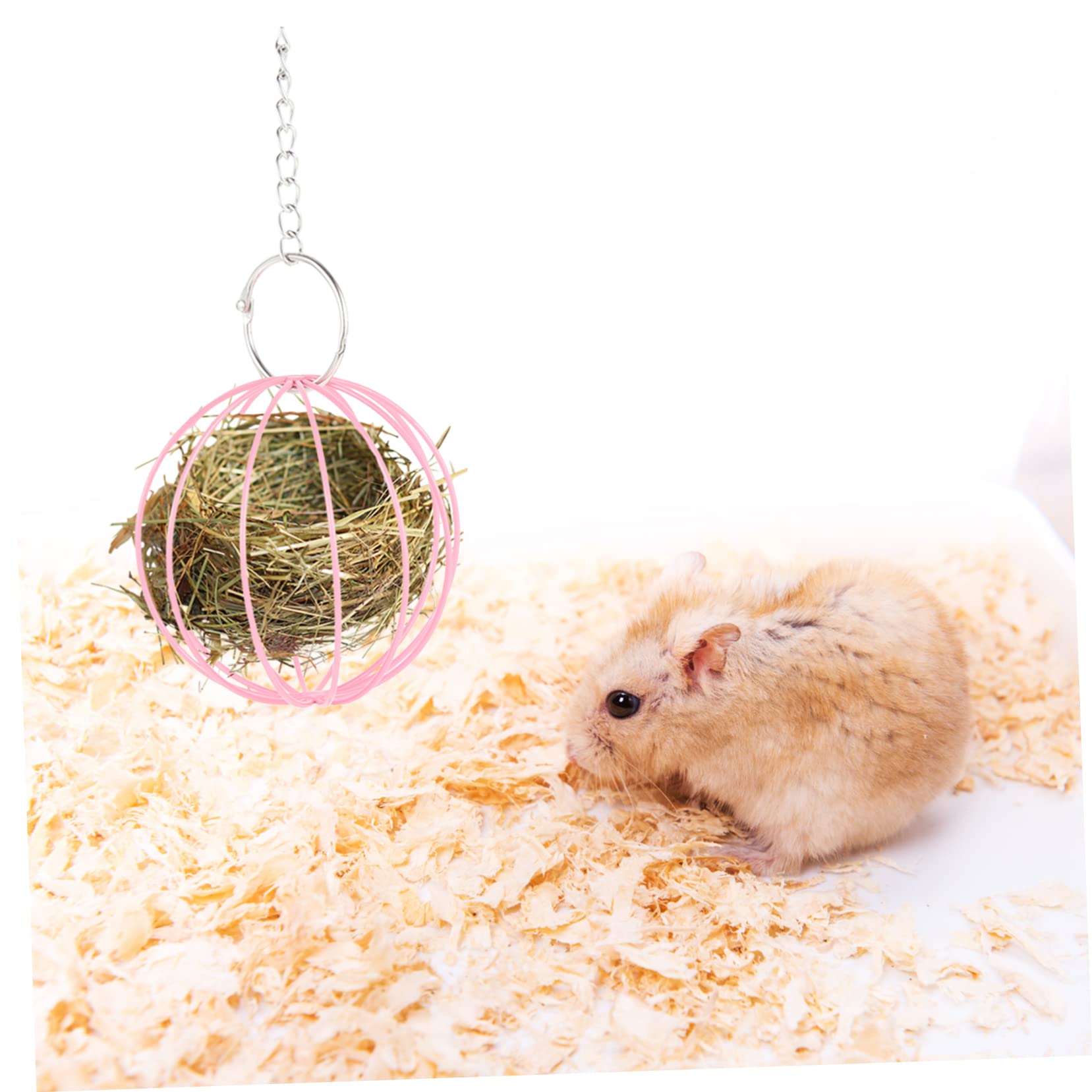 Supvox 10stücke Hängende Futterbälle Für Kleintiere Für Kaninchen Und Meerschweinchen Konstruktion Platzsparend Bunte Designs Für Spiel Und Futteraufnahme