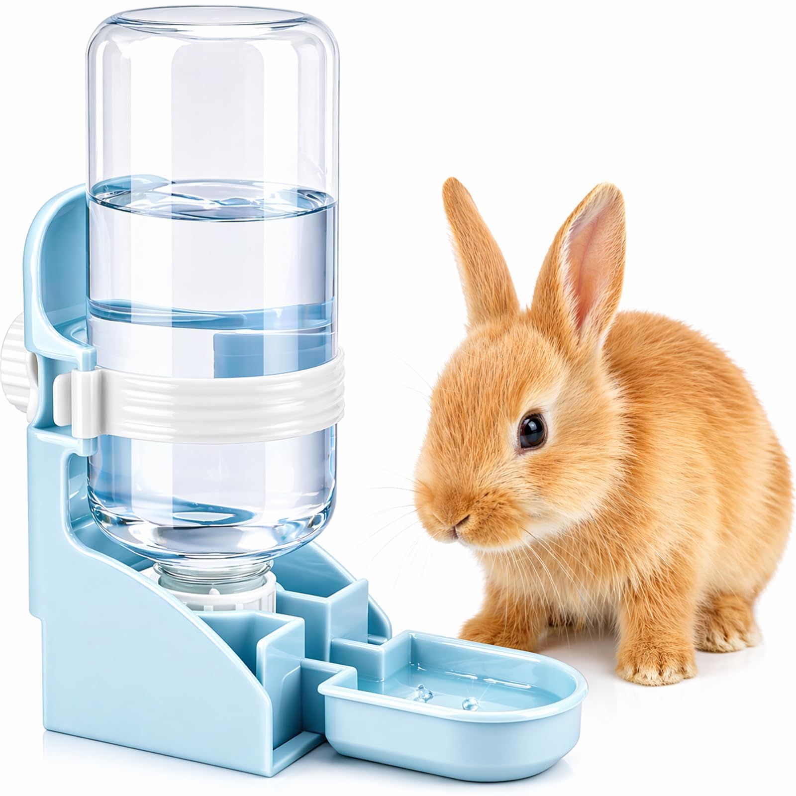 Amazon.com : Rypet Rabbit Water Bottle No-Drip, Bunny Guinea Pig