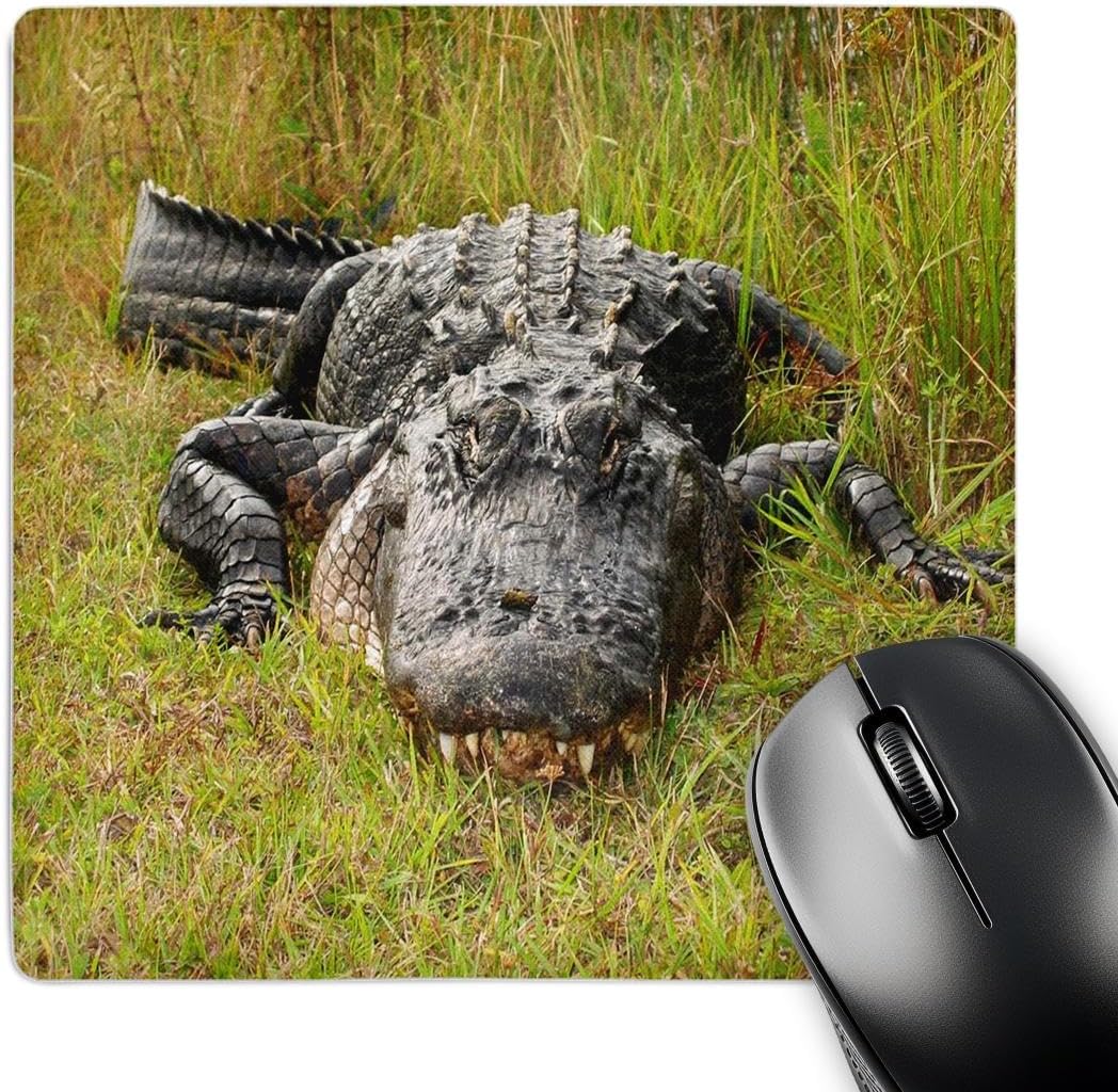 3dRose LLC 8 x 8 x 0.25 Inches Mouse Pad, Even Larger Florida Gator (mp_62494_1)