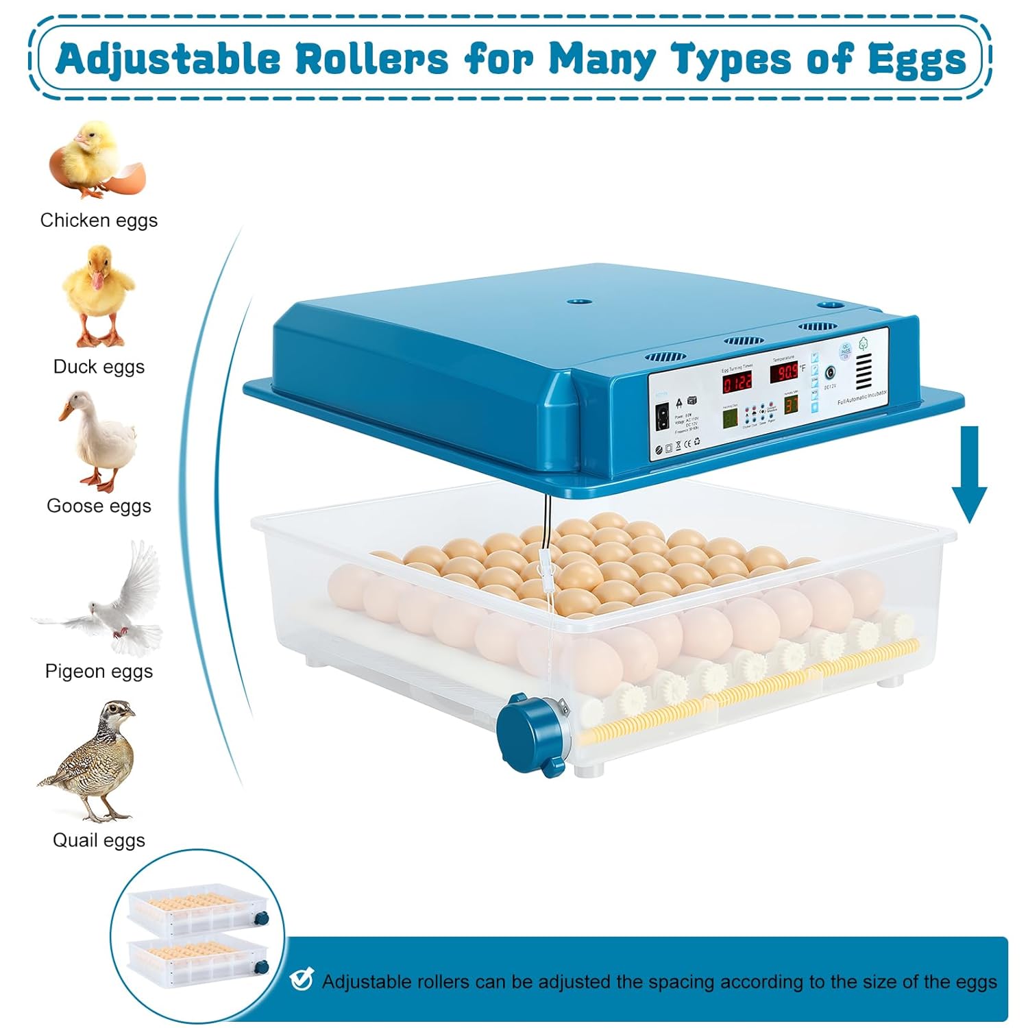 Incubators for Hatching Eggs,64 Egg Incubator with Automatic Turner, Digital Temperature & Humidity Control, Dual Power for Hatching Chicken, Duck, Goose, Bird, Quail Eggs