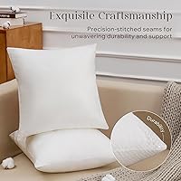 Vista 4 de Phantoscope - Insertos de almohada, 100% poliéster hipoalergénico de fibra virgen, almohadas cuadradas para sofá, sillón, cama, 12x20 pulgadas