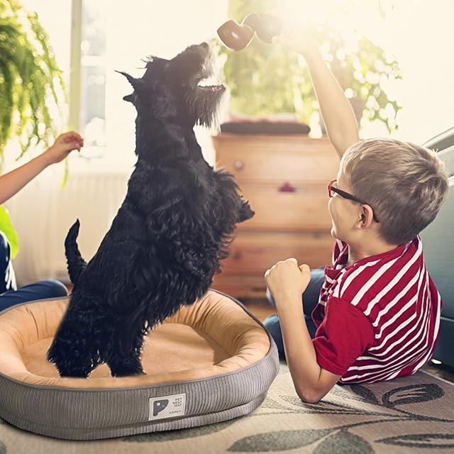 Foto 2 de 7 de PETCUTE Camas para Perros Pequeños y Perros Medianos,Lavable Camas para Gatos con Cubierta…