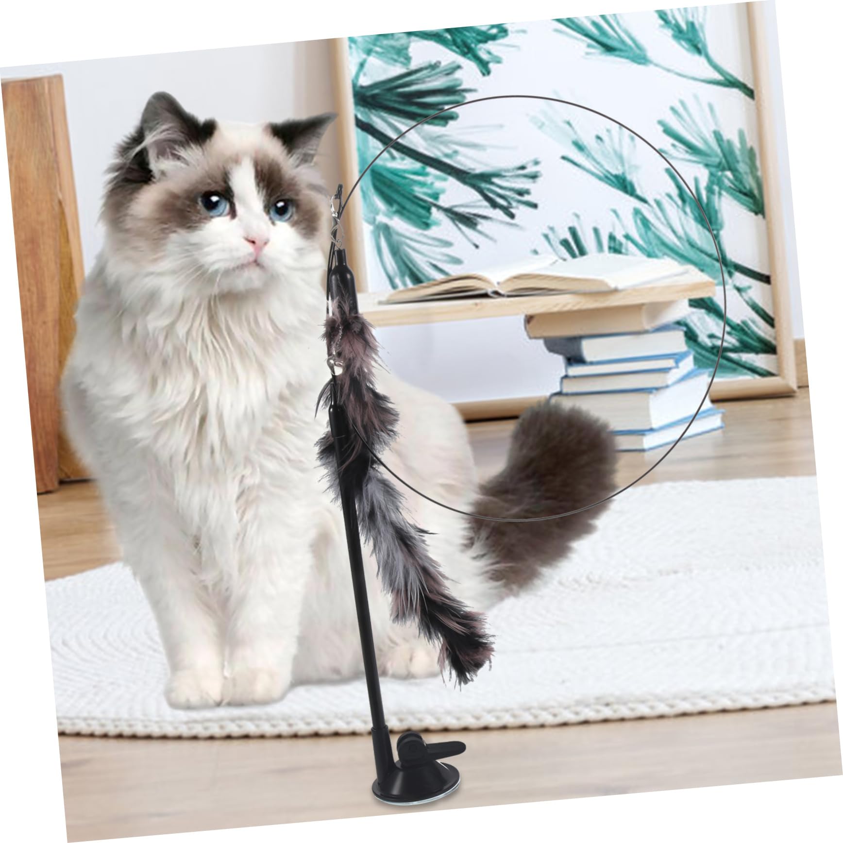 Toyvian Jouet Interactif pour Chat avec Ventouse pour Chaton Jouet De Jeu pour Chat Intérieur