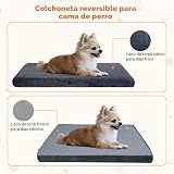 Ver la foto 3