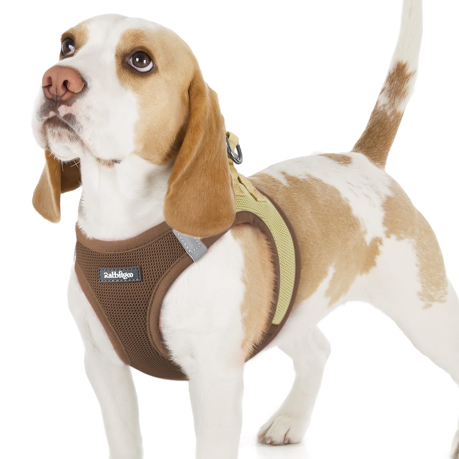 rabbitgoo Hundegeschirr kleine Hunde, Step-in Soft Mesh Hundegeschirr mit Sicherheitsverschluss, atmungsaktives und reflektierendes Welpengeschirr für kleine Hunde