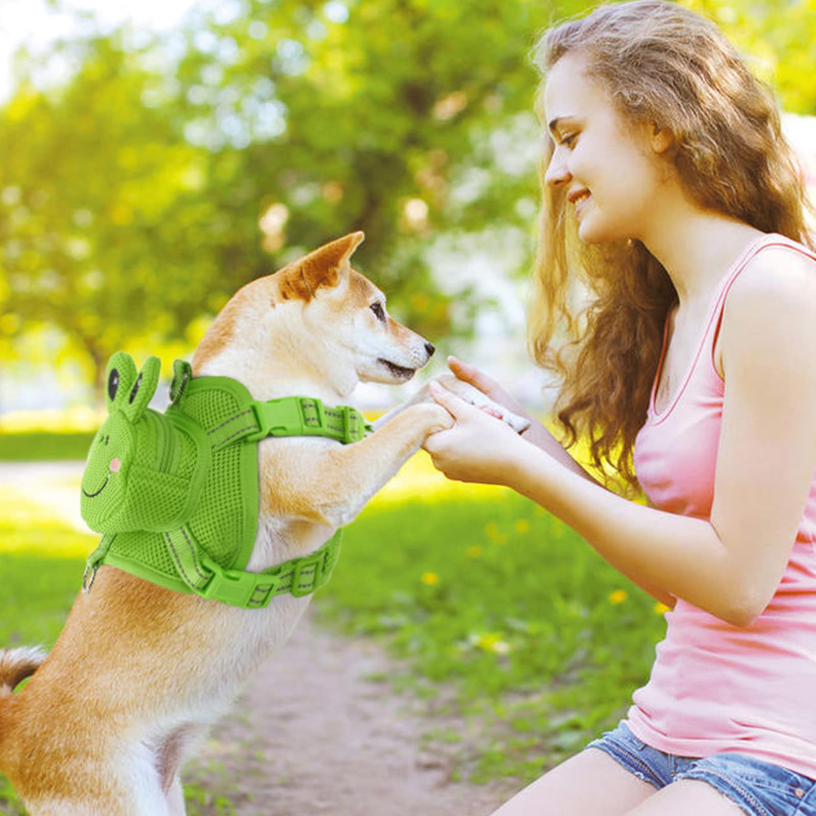 Mochila con arnés para perro, bonita mochila transportadora para perros pequeños y medianos, sin tirones, chaleco para mascotas, bolsa de malla con anillo en D para cachorros, viajes al aire