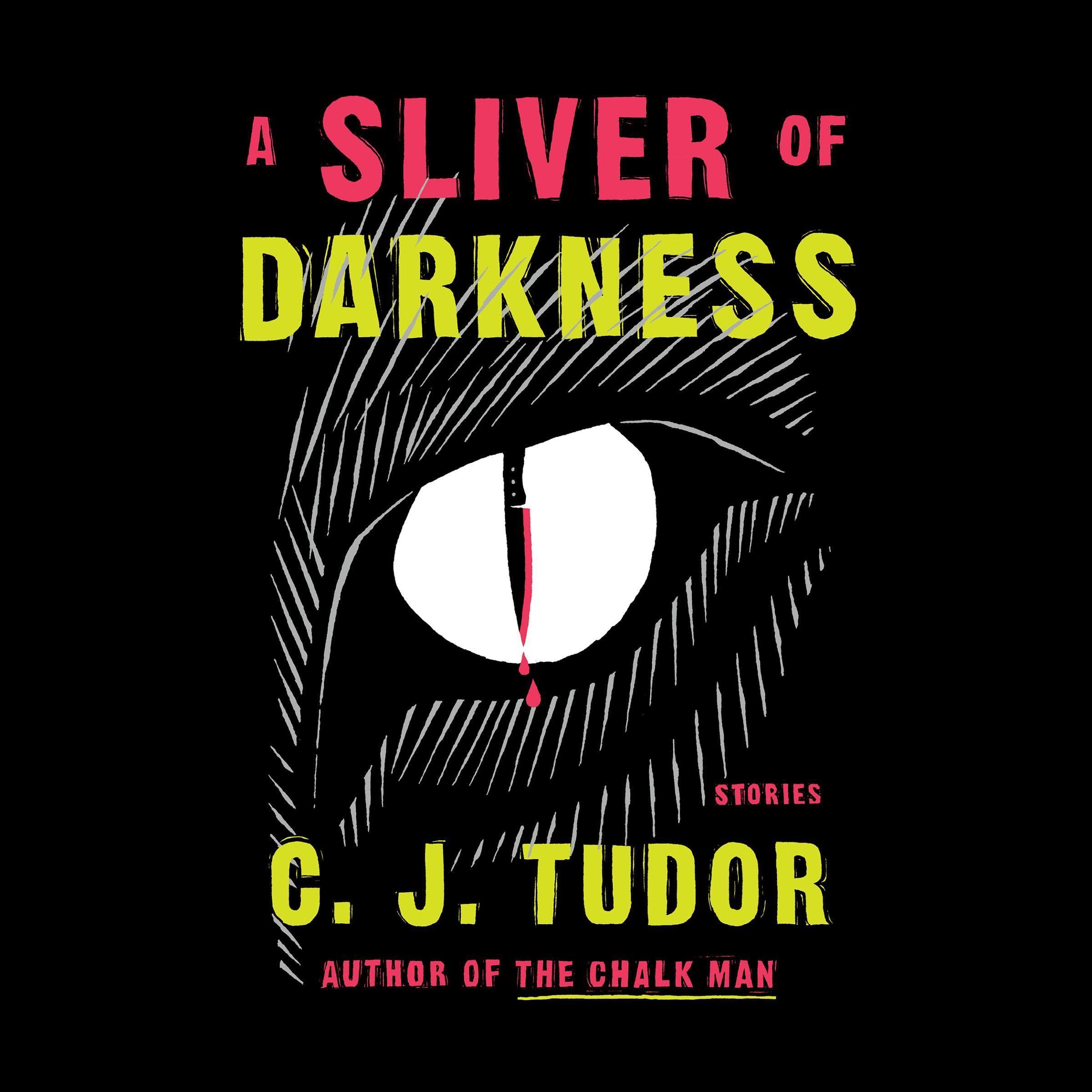 Cover art for A Sliver of Darkness