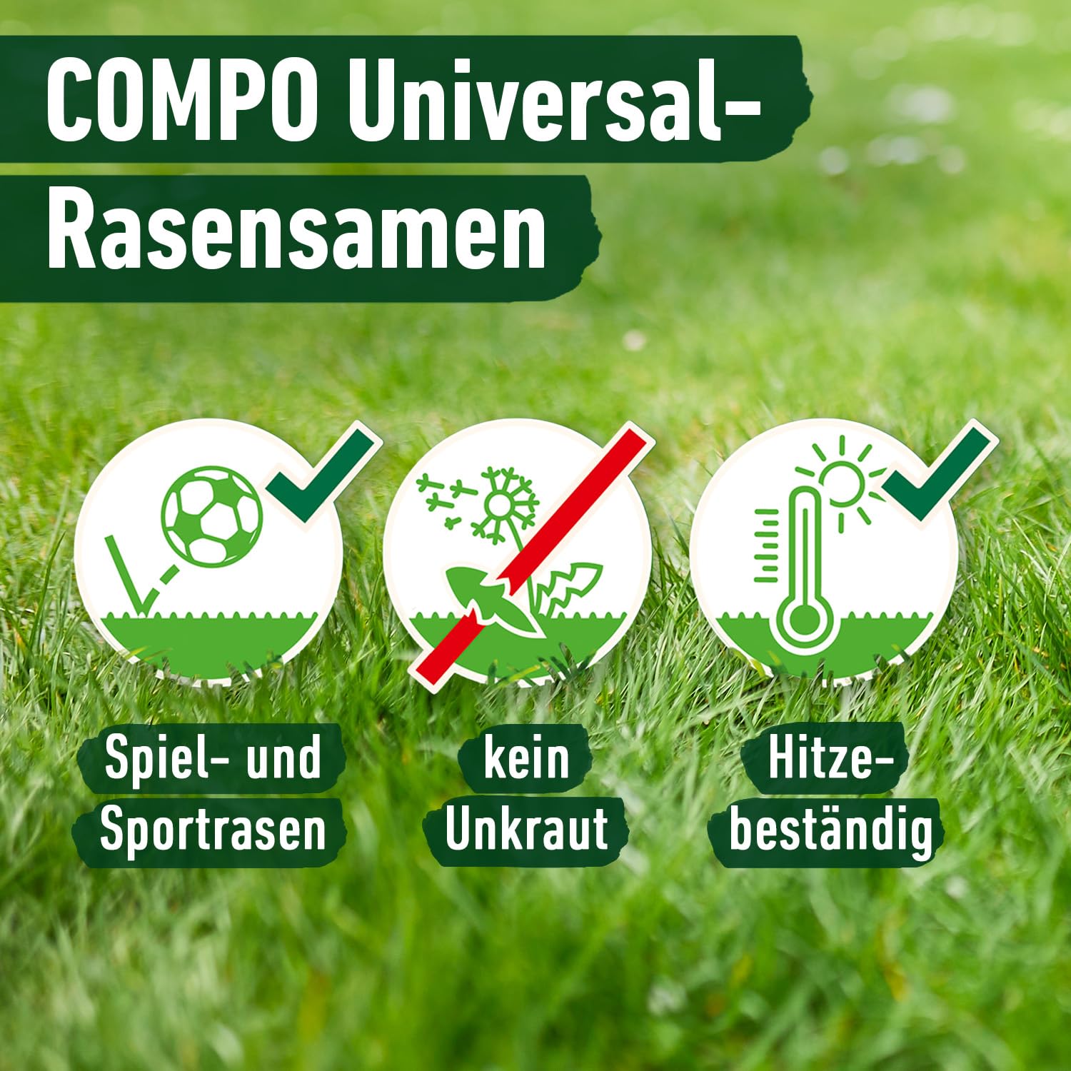 COMPO schnell keimende Universal Rasensamen 5kg für 250 m², für Spiel- und Sportrasen, ideal bei Hitze und Trockenheit, grün