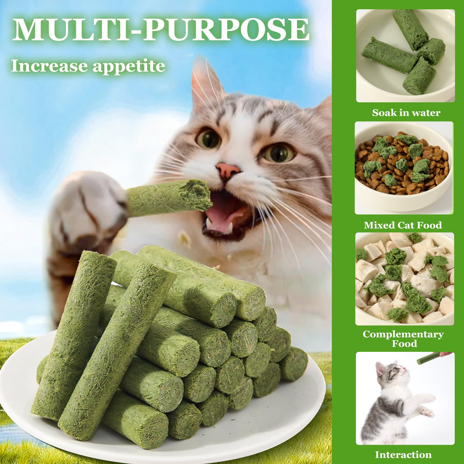 Snack Per Gatti Con Erba Gatta - Bastoncini Liofilizzati, Per Digestione E Denti - Foto 11