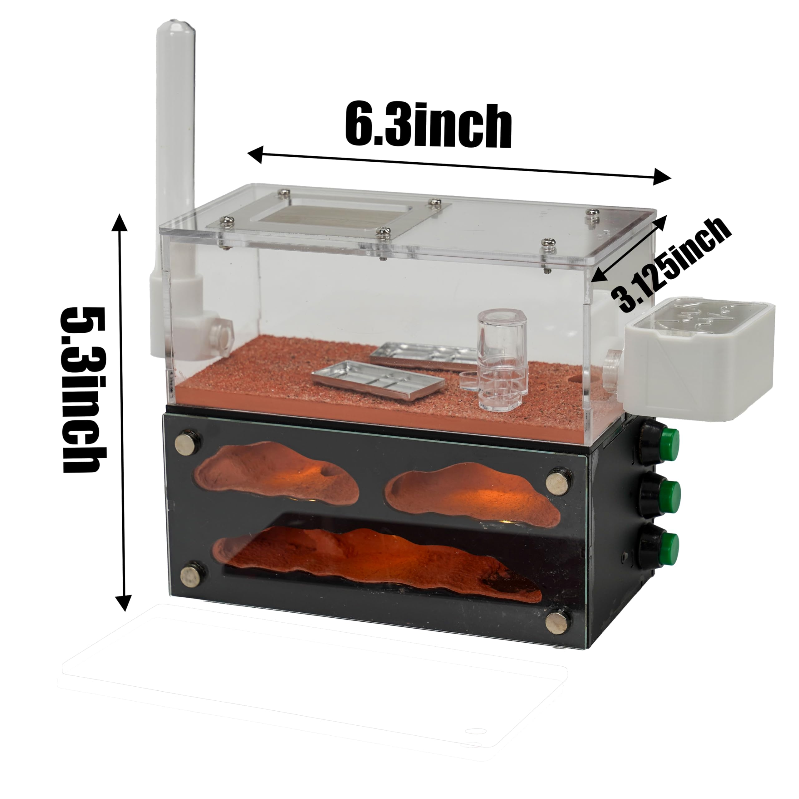 Amazon.com: Rimsunta Ant Farm for Live Ants - for Small Ant Clony