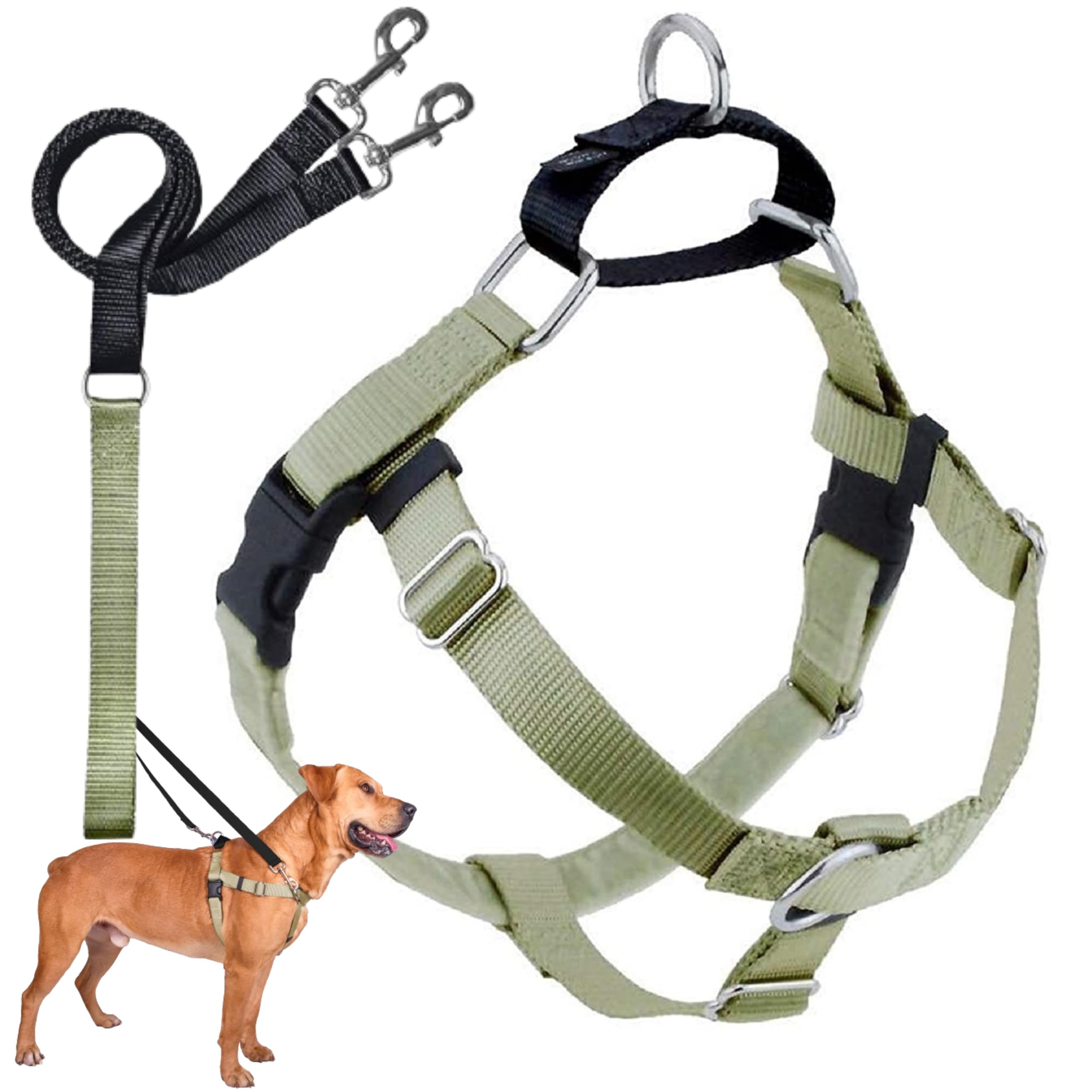 2 Hounds Design Freedom No Pull Dog Harness, Adjustable Harness and Leash Set, Easy Walking & Comfortable Control, Fits Small, Medium & Large Dogs,