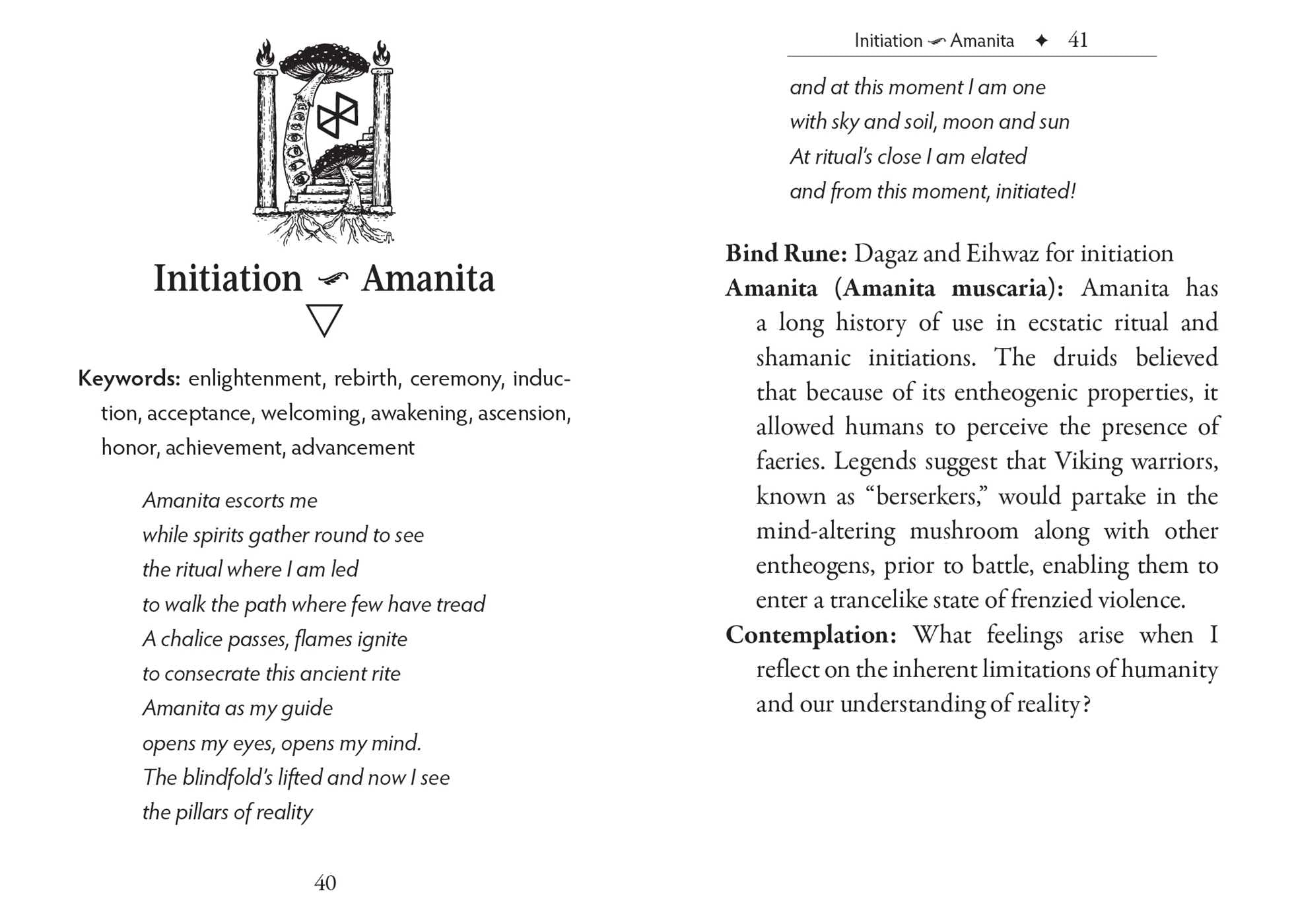 The Runes and Roots Oracle: A 36-Card Deck and Guidebook