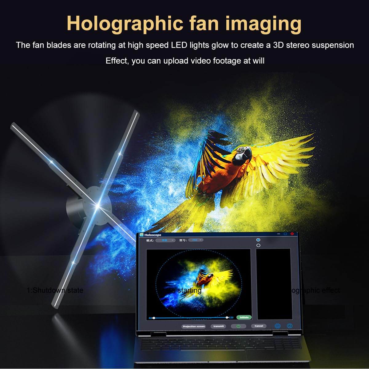 Amazon.co.jp: 3Dホログラムファン、22インチホログラムファン 2000