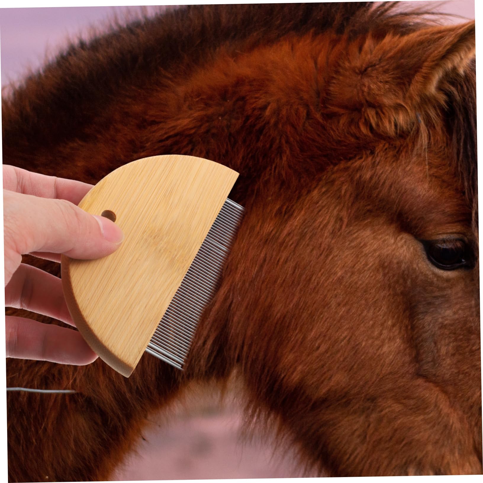 Wahl Brosse pour crinière et Queue de Cheval