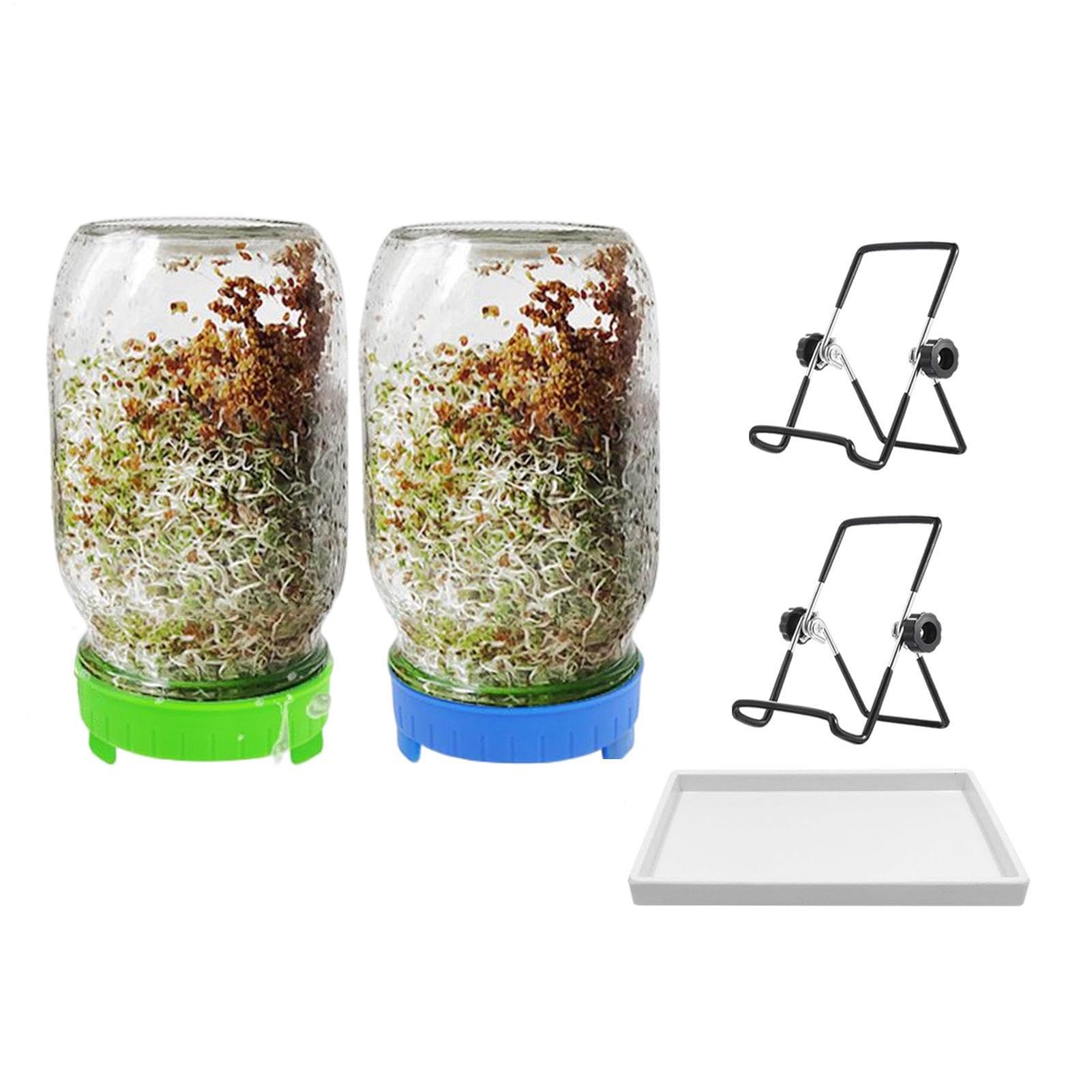 Générique Kit De Pots De Germination – Ensemble De Germoirs De en Acier | Inoxydable | Quart À Large Bouche, Couvercles Et Supports De Germination De Cuisine, Ensemble De Germoirs De, Pot FR