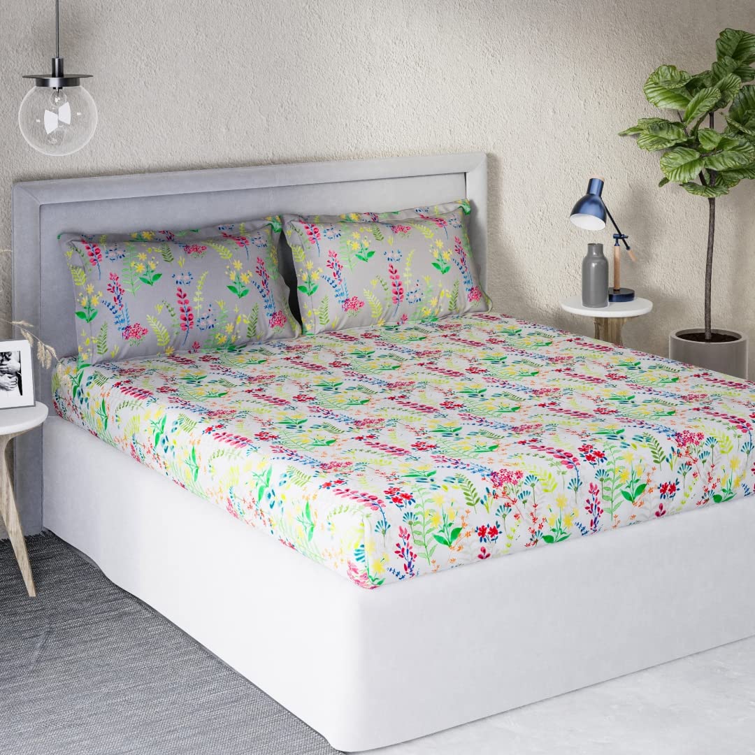 DDECOR - Fern Forest 100% Cotton Double Bedsheet with 2 Pillow Covers, Multi (B09K7T28LR) Amazon Price History, Amazon Price Tracker