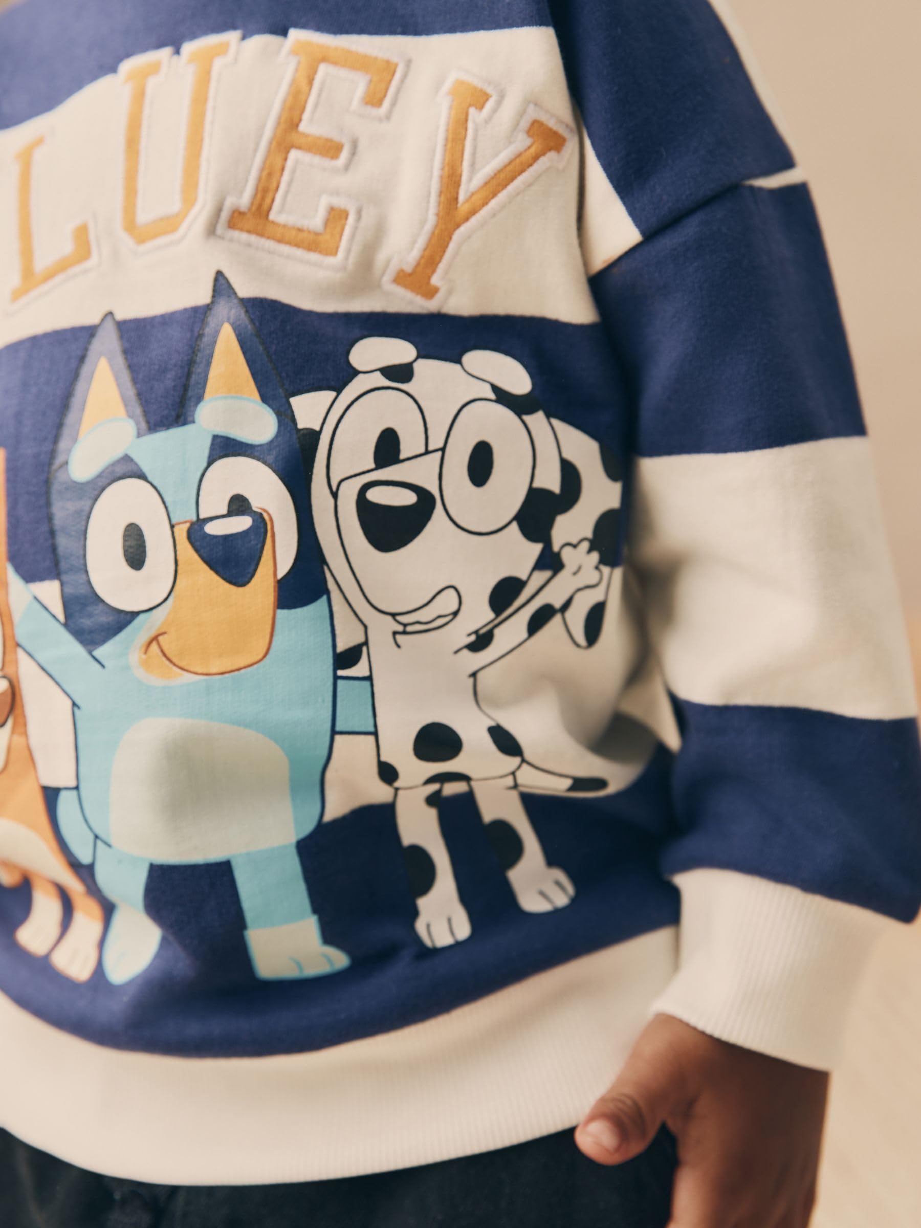 NEXT Jungen Bluey Sweatshirt mit Rundhalsausschnitt Baumwolle 80-128