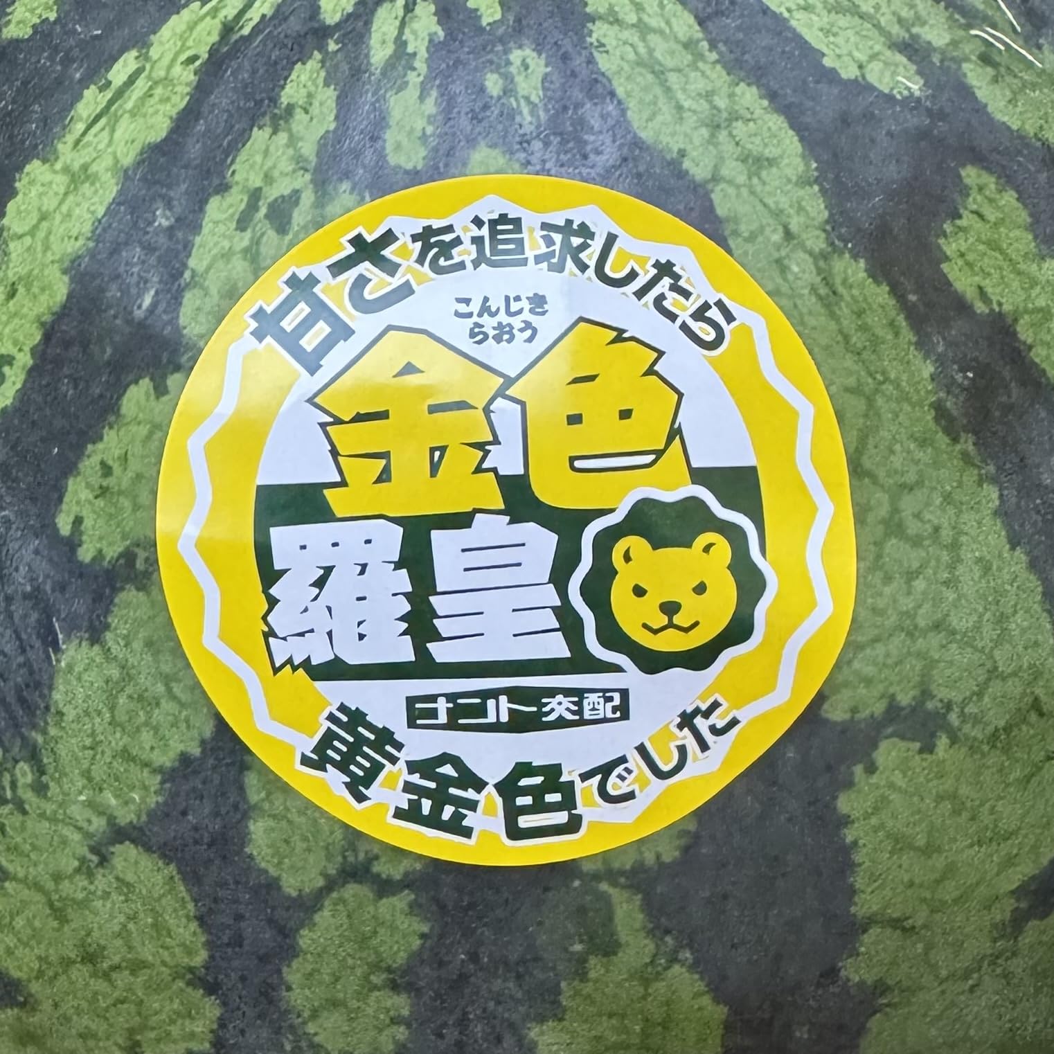 Amazon.co.jp: 黄色すいか 金色羅皇(こんじきらおう) 2L/Lサイズ規格