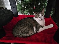 Review Image by Sarina Sarina